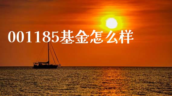 001185基金怎么样_https://m.lcpcjs.com_期货交易_第1张