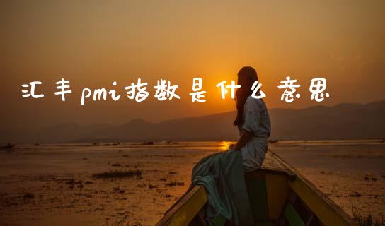 汇丰pmi指数是什么意思_https://m.lcpcjs.com_期货交易_第1张