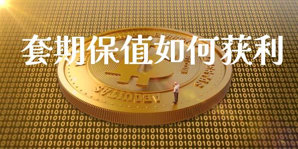 套期保值如何获利_https://m.lcpcjs.com_恒指期货保证金_第1张
