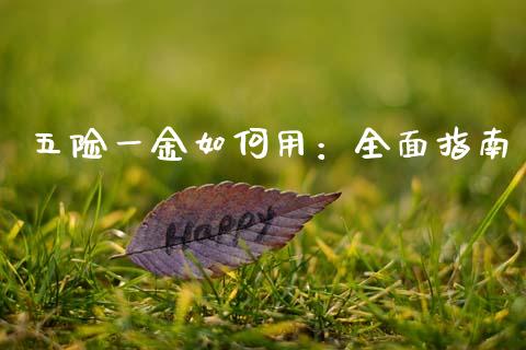 五险一金如何用：全面指南_https://m.lcpcjs.com_期货交易_第1张