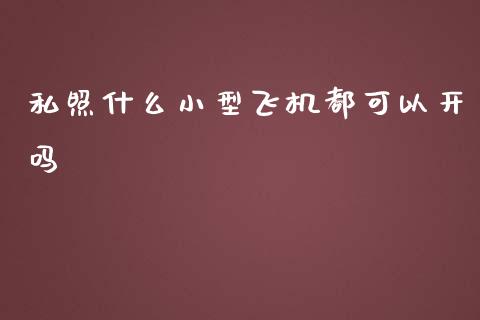 私照什么小型飞机都可以开吗_https://m.lcpcjs.com_恒指期货保证金_第1张