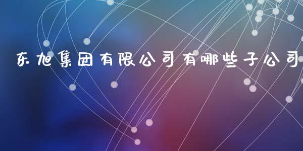东旭集团有限公司有哪些子公司_https://m.lcpcjs.com_恒指期货保证金_第1张