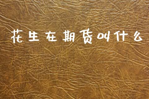 花生在期货叫什么_https://m.lcpcjs.com_期货交易时间_第1张