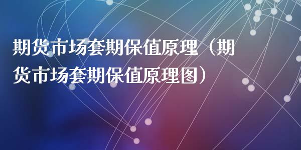 期货市场套期保值原理（期货市场套期保值原理图）_https://m.lcpcjs.com_恒指期货保证金_第1张