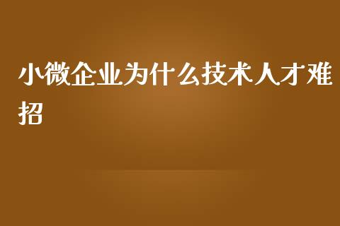 小微企业为什么技术人才难招_https://m.lcpcjs.com_恒指期货保证金_第1张