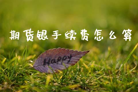 期货银手续费怎么算_https://m.lcpcjs.com_期货交易_第1张