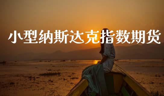 小型纳斯达克指数期货_https://m.lcpcjs.com_期货交易时间_第1张