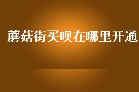 蘑菇街买呗在哪里开通_https://m.lcpcjs.com_恒指期货保证金_第1张