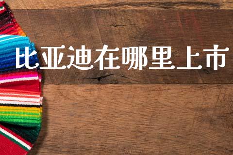 比亚迪在哪里上市_https://m.lcpcjs.com_期货交易时间_第1张