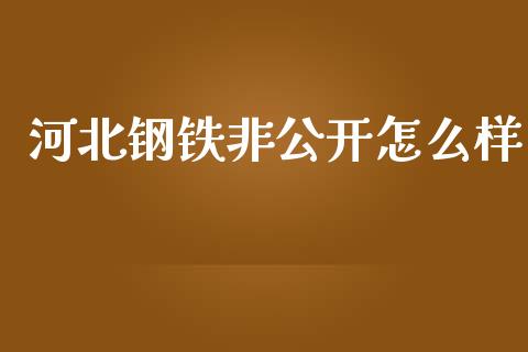 河北钢铁非公开怎么样_https://m.lcpcjs.com_恒指期货保证金_第1张