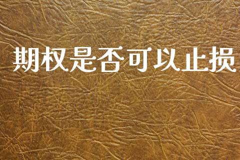 期权是否可以止损_https://m.lcpcjs.com_恒指期货保证金_第1张