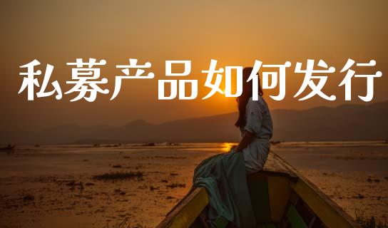 私募产品如何发行_https://m.lcpcjs.com_白银期货保证金_第1张
