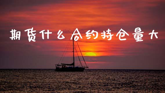 期货什么合约持仓量大_https://m.lcpcjs.com_期货交易时间_第1张