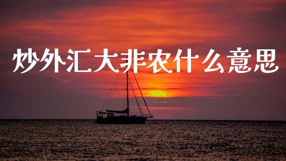 炒外汇大非农什么意思_https://m.lcpcjs.com_白银期货保证金_第1张