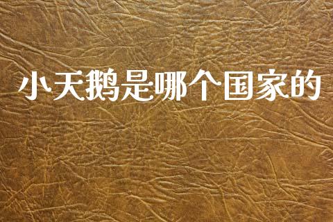 小天鹅是哪个国家的_https://m.lcpcjs.com_恒指期货保证金_第1张