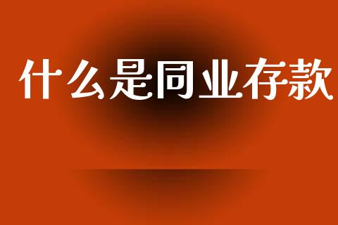 什么是同业存款_https://m.lcpcjs.com_恒指期货保证金_第1张