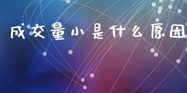 成交量小是什么原因_https://m.lcpcjs.com_恒指期货保证金_第1张