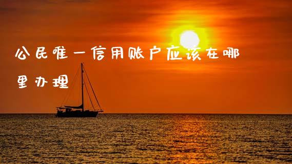 公民唯一信用账户应该在哪里办理_https://m.lcpcjs.com_期货交易时间_第1张