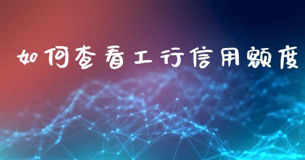 如何查看工行信用额度_https://m.lcpcjs.com_期货交易_第1张