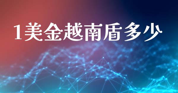 1美金越南盾多少_https://m.lcpcjs.com_白银期货保证金_第1张
