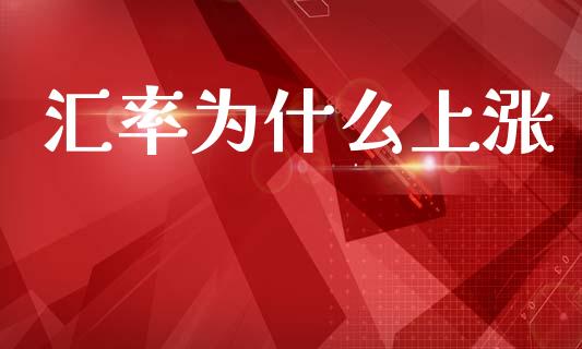 汇率为什么上涨_https://m.lcpcjs.com_期货交易_第1张