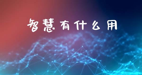 智慧有什么用_https://m.lcpcjs.com_期货交易时间_第1张