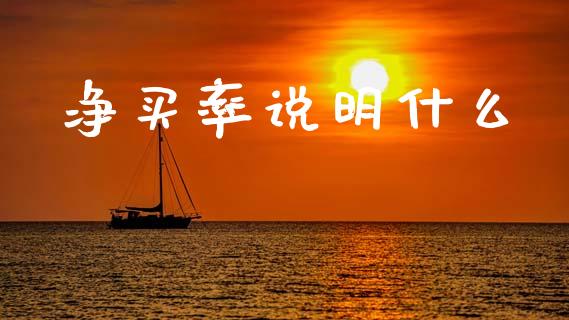 净买率说明什么_https://m.lcpcjs.com_期货交易_第1张