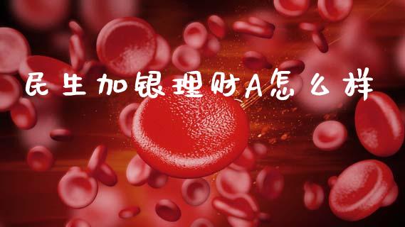 民生加银理财A怎么样_https://m.lcpcjs.com_期货交易_第1张