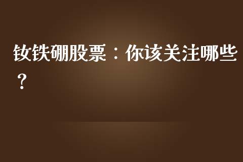 钕铁硼股票：你该关注哪些？_https://m.lcpcjs.com_期货交易时间_第1张