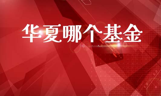 华夏哪个基金_https://m.lcpcjs.com_期货交易_第1张