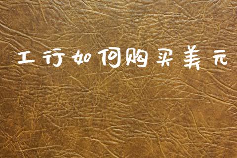 工行如何购买美元_https://m.lcpcjs.com_期货交易时间_第1张