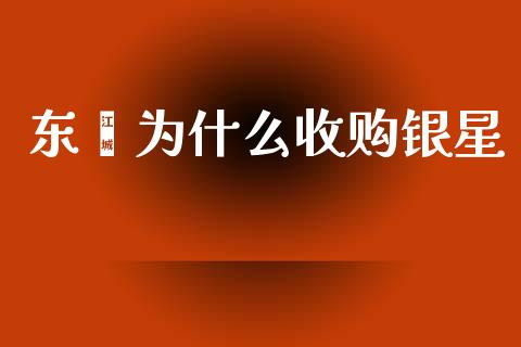 东鑫为什么收购银星_https://m.lcpcjs.com_期货交易_第1张