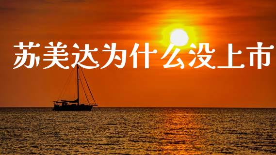 苏美达为什么没上市_https://m.lcpcjs.com_期货交易_第1张