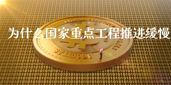 为什么国家重点工程推进缓慢_https://m.lcpcjs.com_期货交易时间_第1张