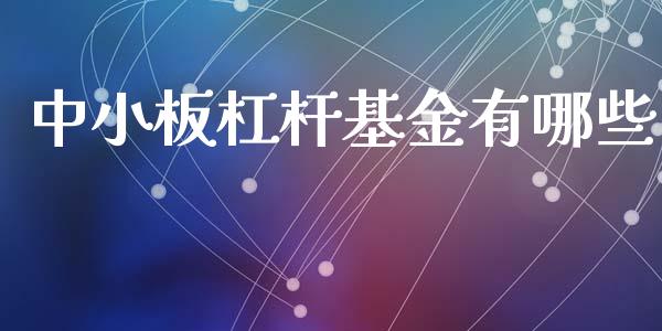 中小板杠杆基金有哪些_https://m.lcpcjs.com_期货交易时间_第1张