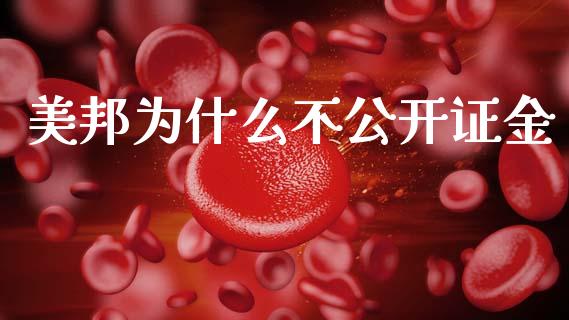 美邦为什么不公开证金_https://m.lcpcjs.com_恒指期货保证金_第1张
