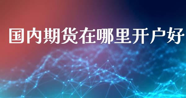 国内期货在哪里开户好_https://m.lcpcjs.com_恒指期货保证金_第1张