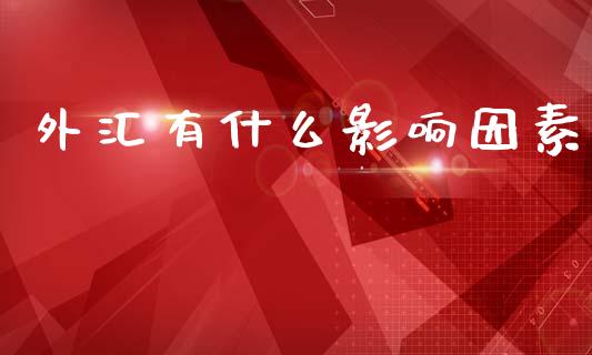 外汇有什么影响因素_https://m.lcpcjs.com_期货交易时间_第1张