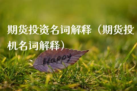 期货投资名词解释（期货投机名词解释）_https://m.lcpcjs.com_期货交易时间_第1张