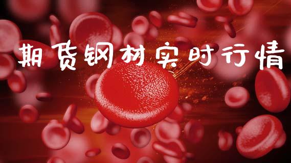 期货钢材实时行情_https://m.lcpcjs.com_白银期货保证金_第1张