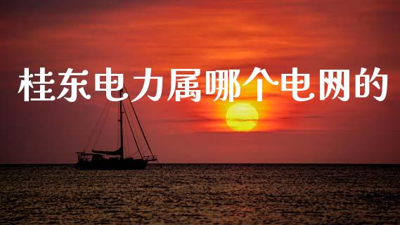 桂东电力属哪个电网的_https://m.lcpcjs.com_恒指期货保证金_第1张