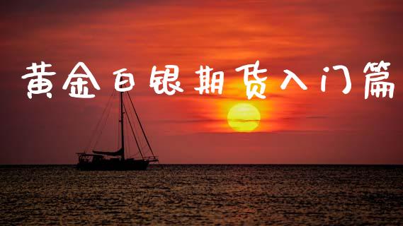 黄金白银期货入门篇_https://m.lcpcjs.com_期货交易时间_第1张