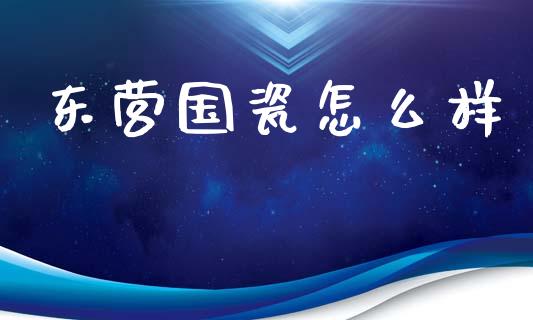 东营国瓷怎么样_https://m.lcpcjs.com_白银期货保证金_第1张