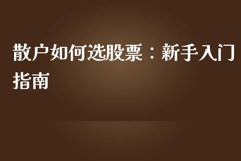 散户如何选股票：新手入门指南_https://m.lcpcjs.com_期货交易时间_第1张