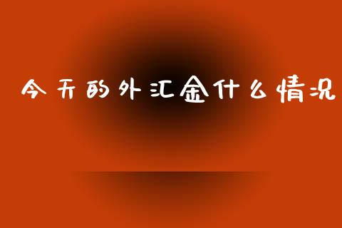 今天的外汇金什么情况_https://m.lcpcjs.com_恒指期货保证金_第1张
