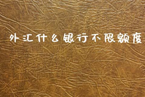 外汇什么银行不限额度_https://m.lcpcjs.com_期货交易时间_第1张