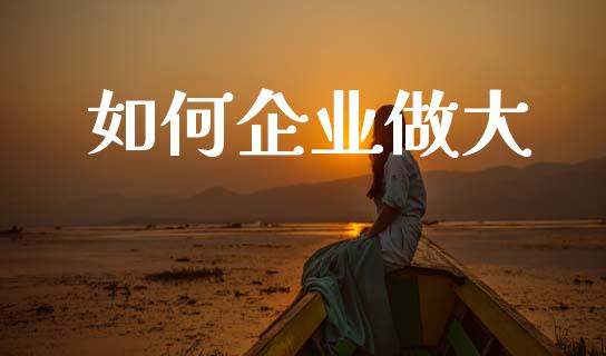 如何企业做大_https://m.lcpcjs.com_恒指期货保证金_第1张