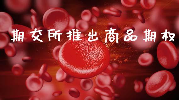 期交所推出商品期权_https://m.lcpcjs.com_白银期货保证金_第1张
