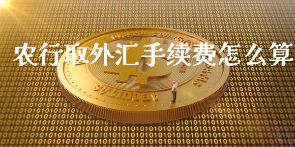 农行取外汇手续费怎么算_https://m.lcpcjs.com_期货交易时间_第1张