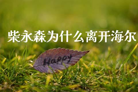 柴永森为什么离开海尔_https://m.lcpcjs.com_期货交易_第1张